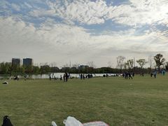 -九科绿洲