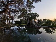 -鼓浪屿钢琴博物馆