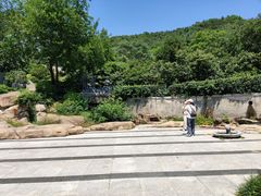 -石老人观光园