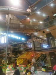 -卡通尼·Safari非洲探索乐园·生日会(金桥国际商业广场店)