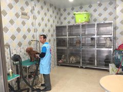 -骐奇宠物诊疗中心(南亭公路店)