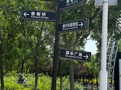 -天津东丽湖风景区