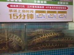 -江南鱼捞(北仑银泰城店)