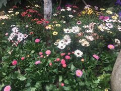 -圩墩遗址公园