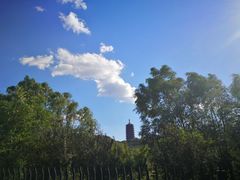 -永定河休闲森林公园