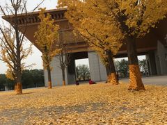-法门文化景区