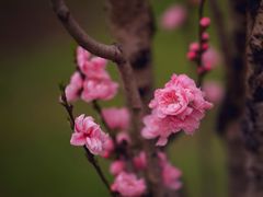 -共青国家森林公园-售票处