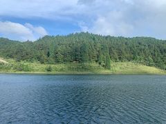 -武陵山森林公园