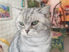 -平行世界·猫咖(首经贸店)