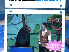 -石家庄极地海洋世界