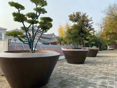 -曲江惠宾苑宾馆(大雁塔大唐不夜城店)