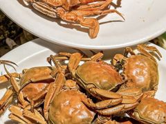 -好伦哥比萨烤肉自助(马家堡店)