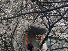 -上海黄浦旅游集散站售票处