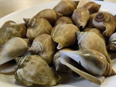 -纽顿熟食中心