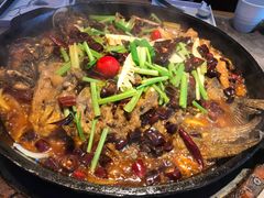 -老板恋上鱼(恒隆广场店)