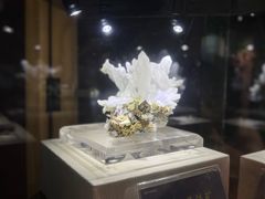 -湖南省地质博物馆