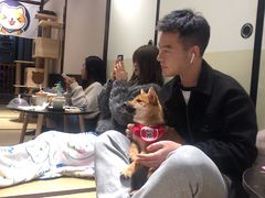 -逗柴咖啡屋·狗咖猫咖宠物桌游