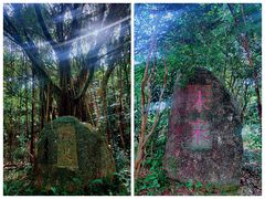 -燕晗山郊野公园
