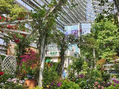 -成都世纪城假日酒店-西楼