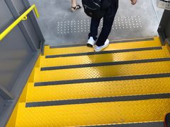 -飞天翼龙
