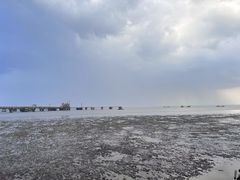 -平湖九龙山旅游度假区