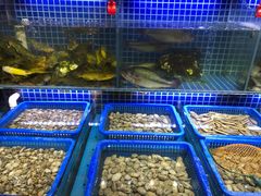 水产区-必点海鲜·鲅鱼水饺(鞍山西道店)