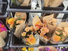 -溪岸路花鸟市场