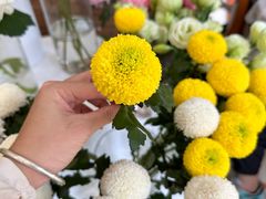 -花屿鲜花(淡水店)