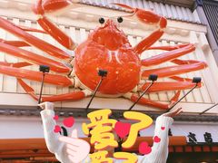 -蟹道乐(道顿堀本店)