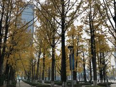 -百林公园-两江幸福广场