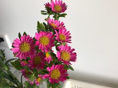 -北京花见餐饮管理有限公司