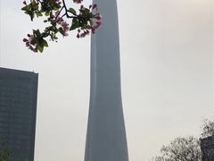 -泰丰公园