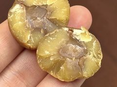 -粒上皇(天河南一路店)