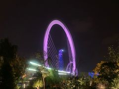 -南京眼步行桥