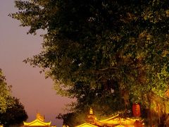 -仓山金山寺
