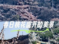 -妙峰山风景名胜区