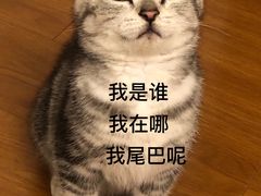 -仁普宠物诊所(住友昌盛新苑店)