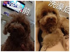 -苏记农家菜馆
