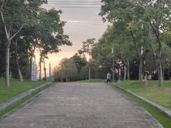 -牛岗山公园