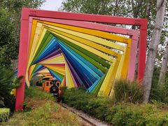 -合肥滨湖国家森林公园