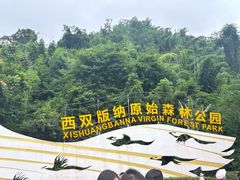 -西双版纳原始森林公园
