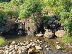 -渔寮风景区
