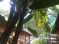 -Trung Nguyen Café Legend