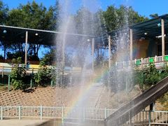 -北京鹿世界主题园