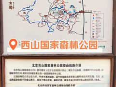 -北京西山国家森林公园