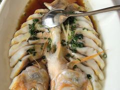 -骏莱海鲜鱼港(五角场店)