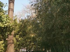 -济南大明湖景区