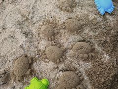 -无锡动物园·太湖欢乐园