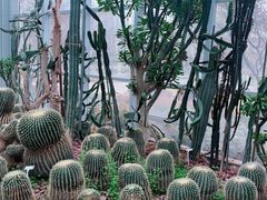 -郑州植物园
