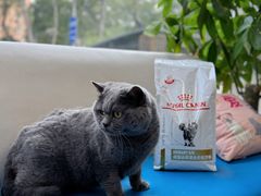 -美联众合爱康动物医院•复杂内科•肿瘤科•牙科•腔镜诊疗中心